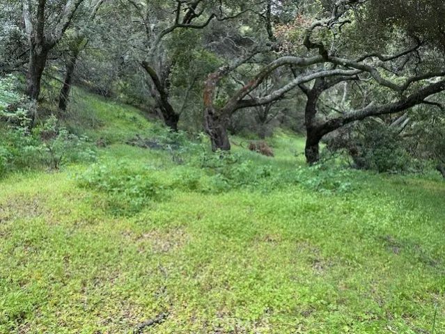 0 Colson Canyon, Santa Maria, CA 93454