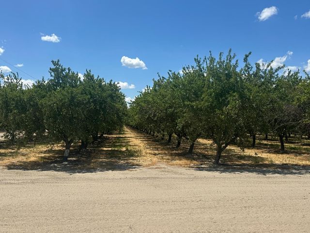 12250 S Jameson Avenue, Fresno, CA 93706