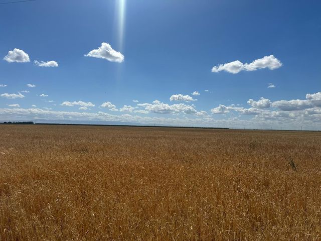 12250 S Jameson Avenue, Fresno, CA 93706