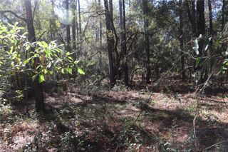 00 SW 39 STREET, Dunnellon, FL 34432