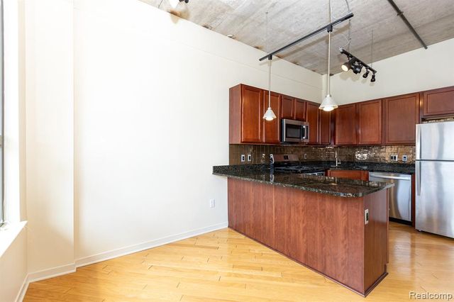315 2nd Street 203, Ann Arbor, MI 48103