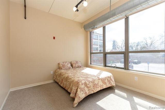 315 2nd Street 203, Ann Arbor, MI 48103