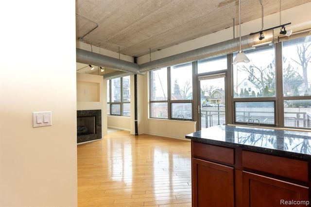 315 2nd Street 203, Ann Arbor, MI 48103