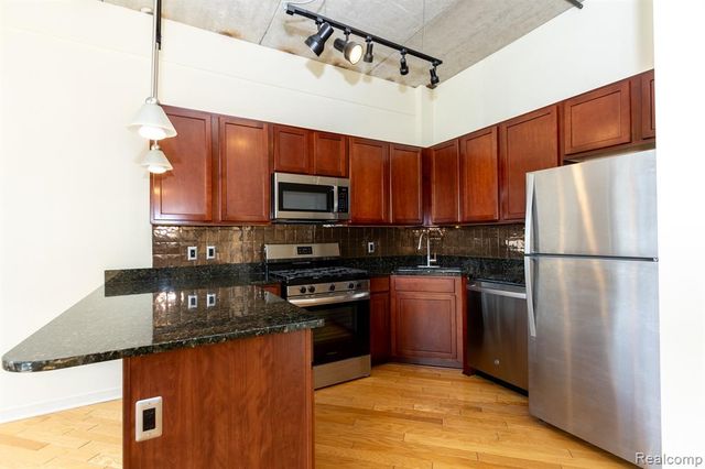 315 2nd Street 203, Ann Arbor, MI 48103