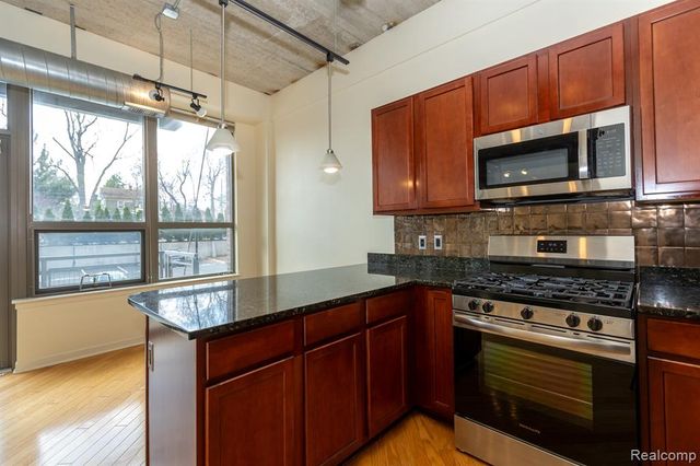315 2nd Street 203, Ann Arbor, MI 48103