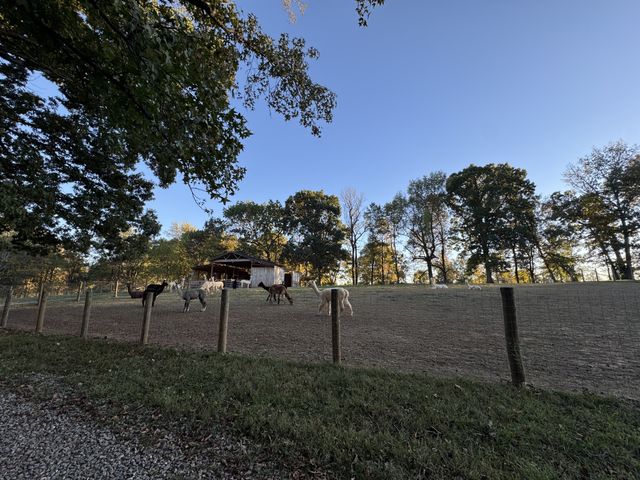418 Creekmore Rd, Cottontown, TN 37048