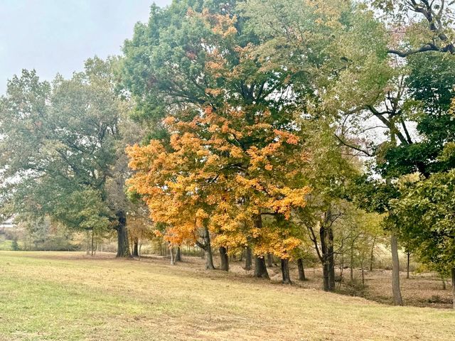 418 Creekmore Rd, Cottontown, TN 37048