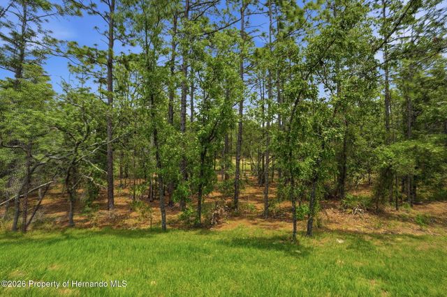 39 Milbark Drive, Homosassa, FL 34446