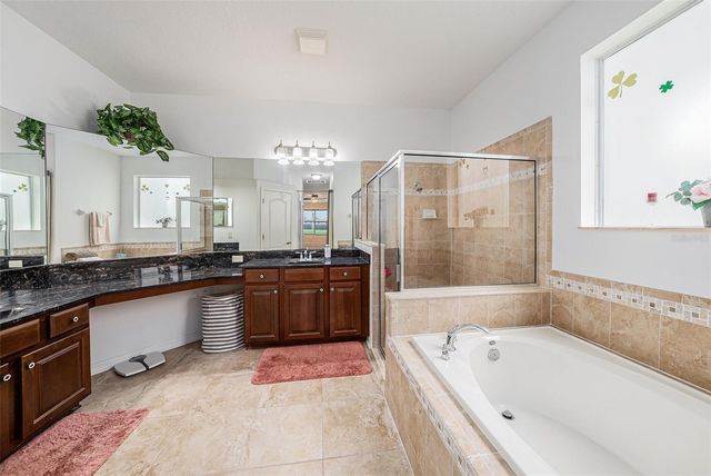 20017 PAINTING NATURE LANE, Tampa, FL 33647