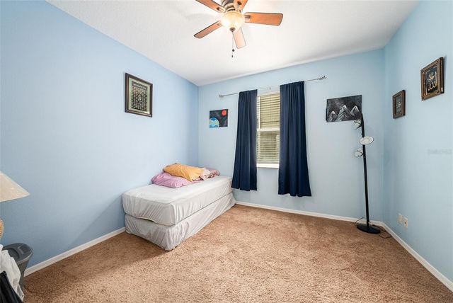 20017 PAINTING NATURE LANE, Tampa, FL 33647