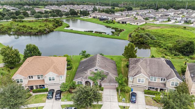 20017 PAINTING NATURE LANE, Tampa, FL 33647