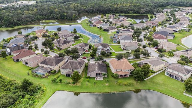 20017 PAINTING NATURE LANE, Tampa, FL 33647