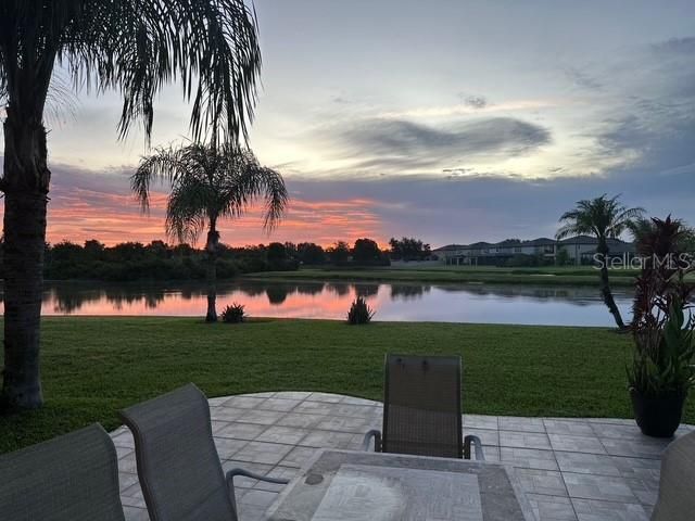 20017 PAINTING NATURE LANE, Tampa, FL 33647