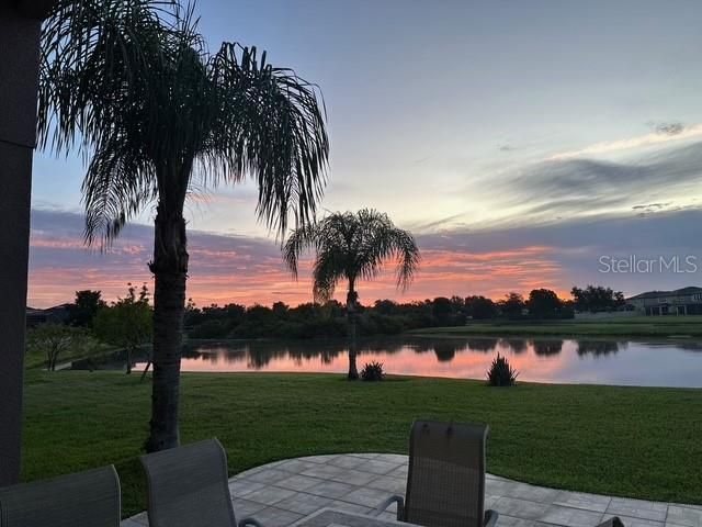 20017 PAINTING NATURE LANE, Tampa, FL 33647