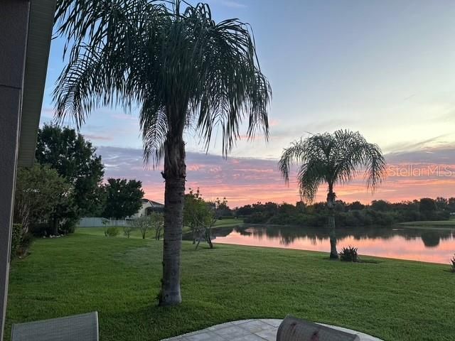 20017 PAINTING NATURE LANE, Tampa, FL 33647