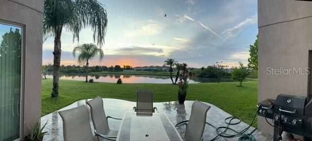 20017 PAINTING NATURE LANE, Tampa, FL 33647