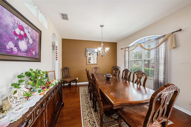 20017 PAINTING NATURE LANE, Tampa, FL 33647