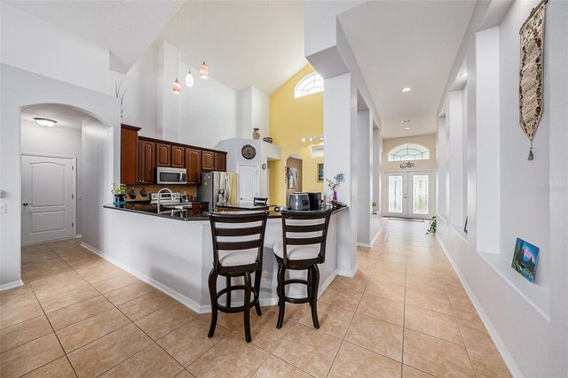 20017 PAINTING NATURE LANE, Tampa, FL 33647