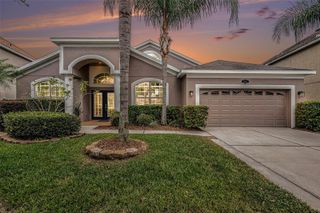 20017 PAINTING NATURE LANE, Tampa, FL 33647