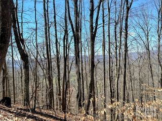 Lot 15 Red Wolf Run 15, Mars Hill, NC 28754