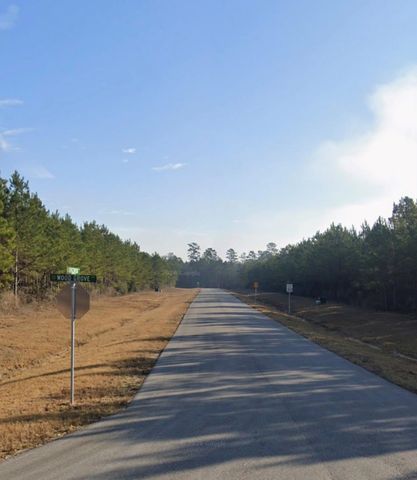 12914 Spacewood Pass, Willis, TX 77378