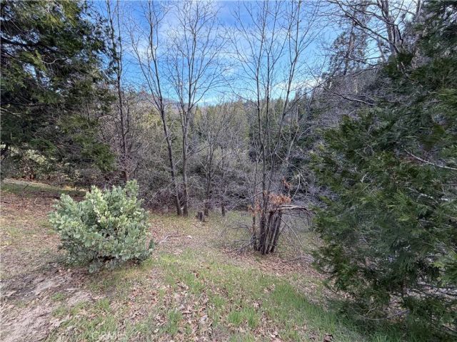 0 Hook Creek, Cedar Glen, CA 92321