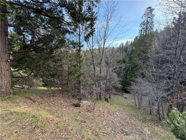 0 Hook Creek, Cedar Glen, CA 92321