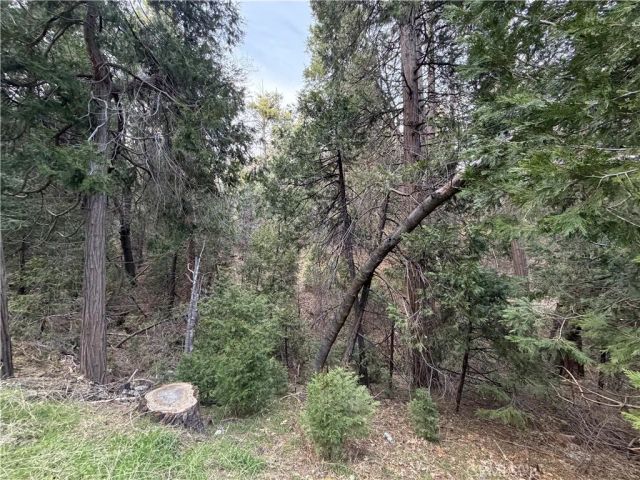 0 Hook Creek, Cedar Glen, CA 92321