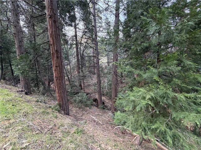 0 Hook Creek, Cedar Glen, CA 92321