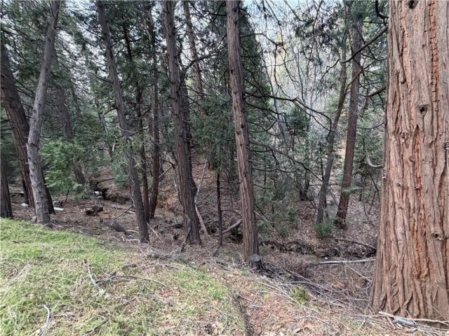 0 Hook Creek, Cedar Glen, CA 92321