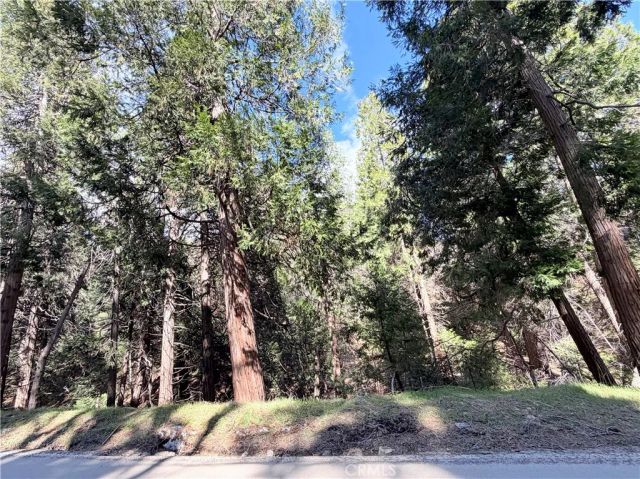 0 Hook Creek, Cedar Glen, CA 92321