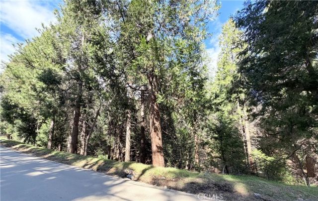 0 Hook Creek, Cedar Glen, CA 92321