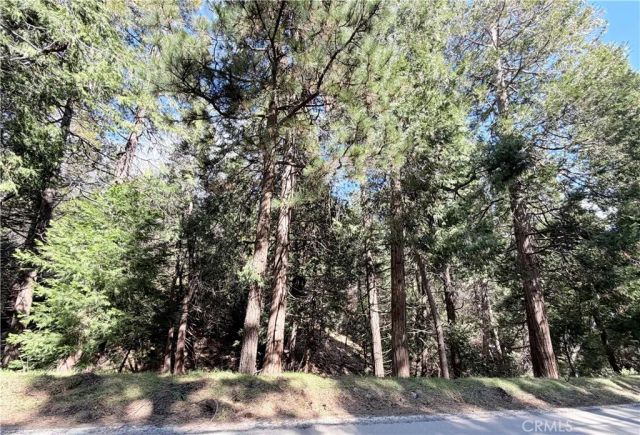 0 Hook Creek, Cedar Glen, CA 92321