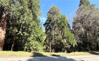 0 Hook Creek, Cedar Glen, CA 92321