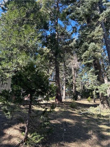 742 W Victoria, Lake Arrowhead, CA 92352