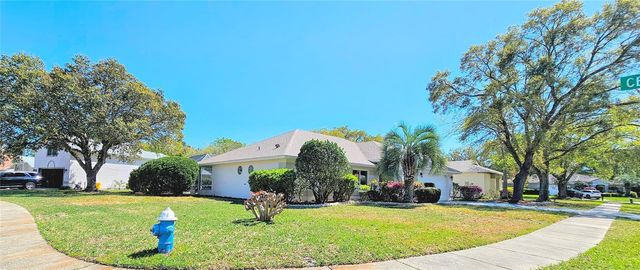 3 SAW MILL COURT, Palm Coast, FL 32164