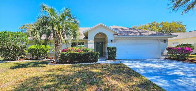 3 SAW MILL COURT, Palm Coast, FL 32164