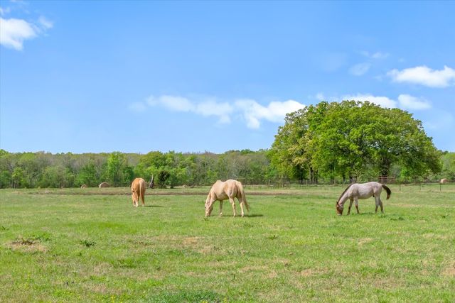 260 Vz County Road 3531, Edgewood, TX 75117