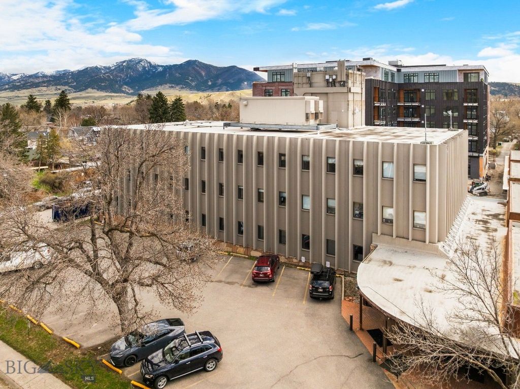300 N Wilson, Bozeman, MT 59715