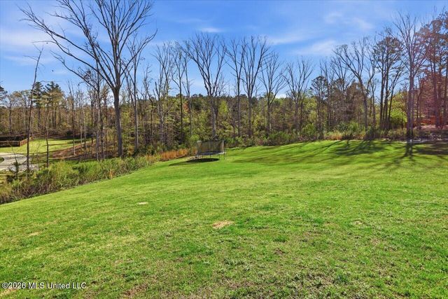 149 Dogwood Trace, Brandon, MS 39042