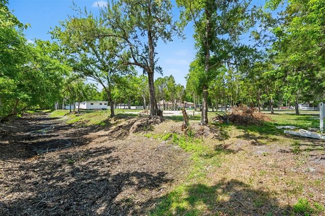 1346 SIERRA PINES BLVD, Lutz, FL 33558
