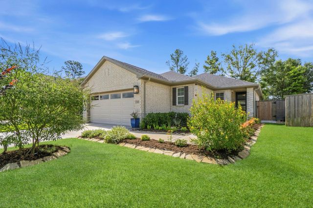 110 Passion Flower Cove, Montgomery, TX 77316
