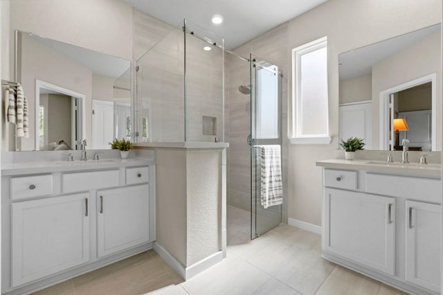 110 Passion Flower Cove, Montgomery, TX 77316