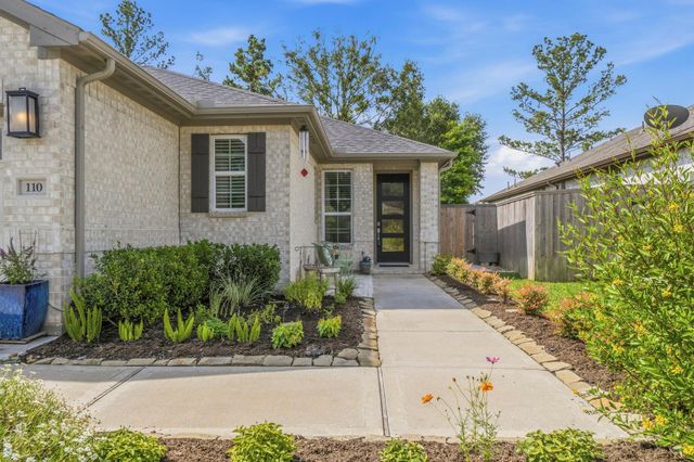 110 Passion Flower Cove, Montgomery, TX 77316