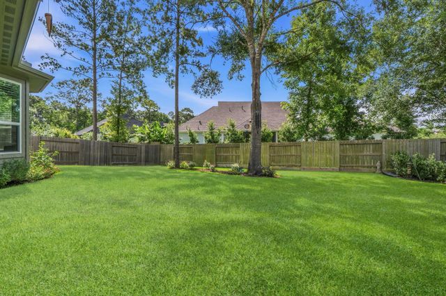 110 Passion Flower Cove, Montgomery, TX 77316