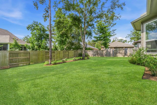 110 Passion Flower Cove, Montgomery, TX 77316
