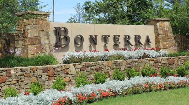 110 Passion Flower Cove, Montgomery, TX 77316