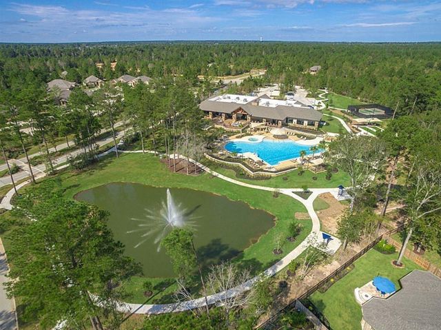 110 Passion Flower Cove, Montgomery, TX 77316