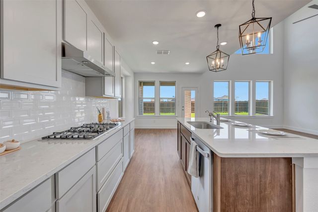 1728 Monarch Haven Way, Oak Point, TX 75068