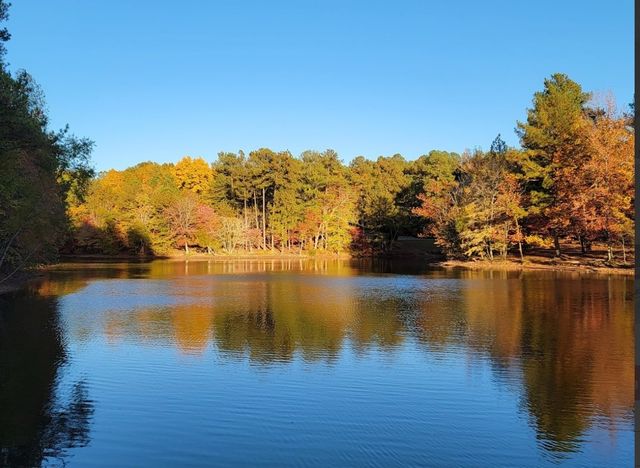 7505 Shoal Mill Point, Fairview, TN 37062